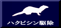 ハクビシン駆除