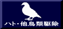 ハト駆除