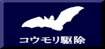 コウモリ駆除