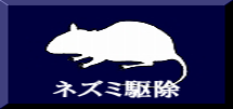 ネズミ駆除