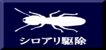 シロアリ駆除