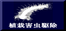 植栽害虫駆除